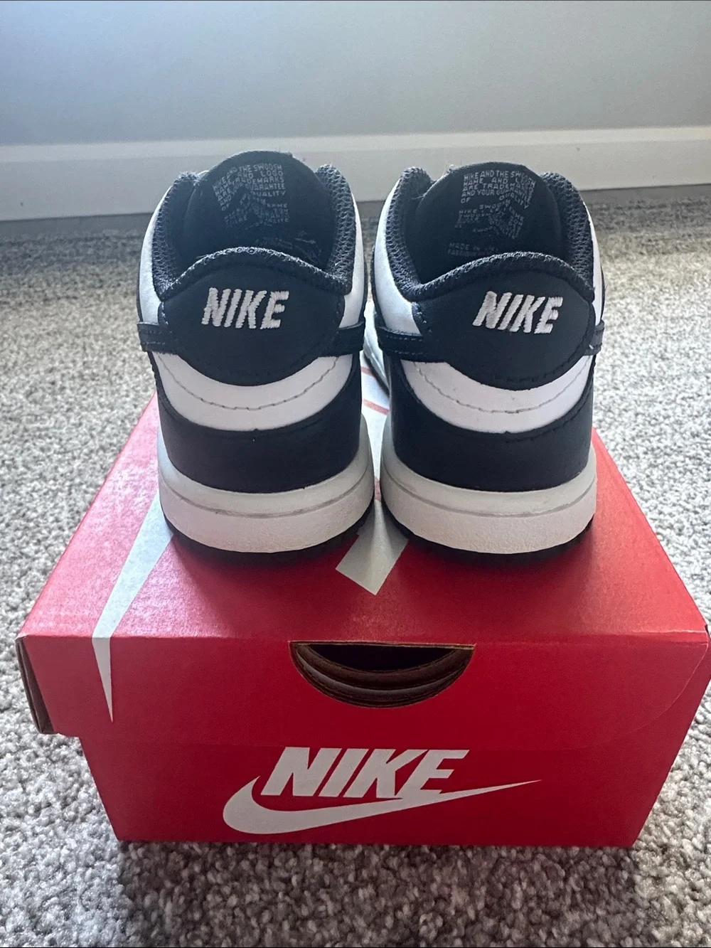 Toddler Nike Dunks
